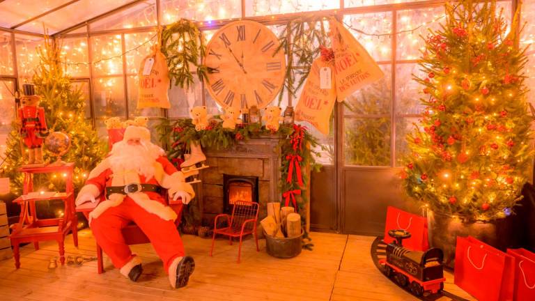 Babbo Natale è arrivato a Riccione con i lama Luna, Terra e Forza. Inaugurato il Giardino sul mare col bosco illuminato Babbo Natale è arrivato a Riccione con i lama Luna, Terra e Forza. Inaugurato il Giardino sul mare col bosco illuminato