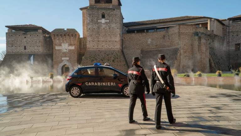 Violenza sulle donne, i numeri dei Carabinieri restano preoccupanti VIDEO Violenza sulle donne, i numeri dei Carabinieri restano preoccupanti VIDEO