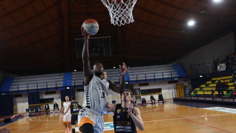 Basket B, Tigers: l'esame con la Luiss non si può sbagliare Basket B, Tigers: l'esame con la Luiss non si può sbagliare