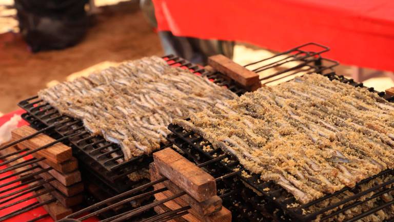 Rimini. Rivive la “pesca alla tratta”, degustando sardoncini, piadina e trebbiano Rimini. Rivive la “pesca alla tratta”, degustando sardoncini, piadina e trebbiano