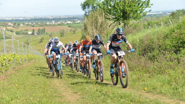 Mountain bike, domenica la Granfondo del Sangiovese a Bertinoro Mountain bike, domenica la Granfondo del Sangiovese a Bertinoro