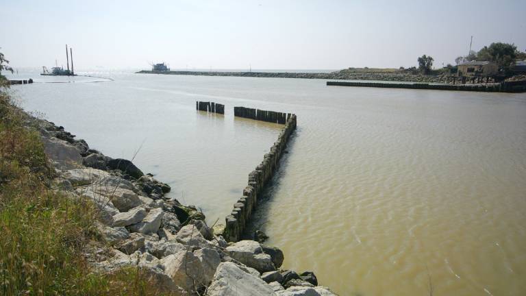 Mare in Romagna: valori oltre la norma dopo l'alluvione nel Ravennate e in alcuni punti del Cesenate. Tutto ok a Rimini Mare in Romagna: valori oltre la norma dopo l'alluvione nel Ravennate e in alcuni punti del Cesenate. Tutto ok a Rimini