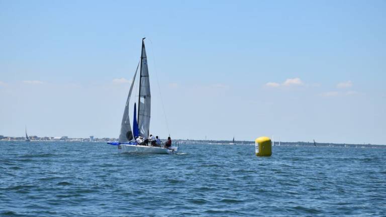 Vela, Trofeo Ceccarelli, vince Wadadli Vela, Trofeo Ceccarelli, vince Wadadli
