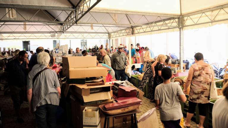 Acquisti a sfondo benefico a Imola al Mercatino dei Cappuccini Acquisti a sfondo benefico a Imola al Mercatino dei Cappuccini