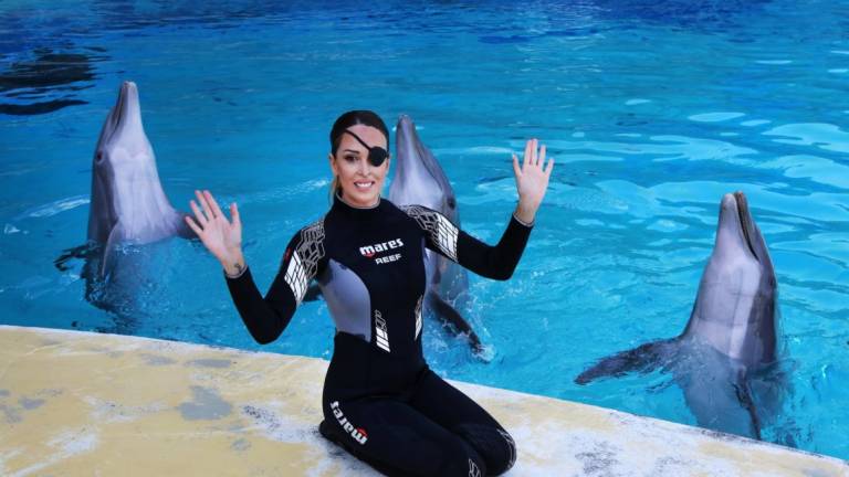 Gessica Notaro torna tra i suoi delfini Gessica Notaro torna tra i suoi delfini