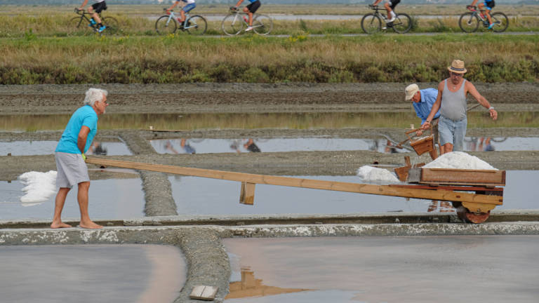 La raccolta del Sale a Cervia La raccolta del Sale a Cervia