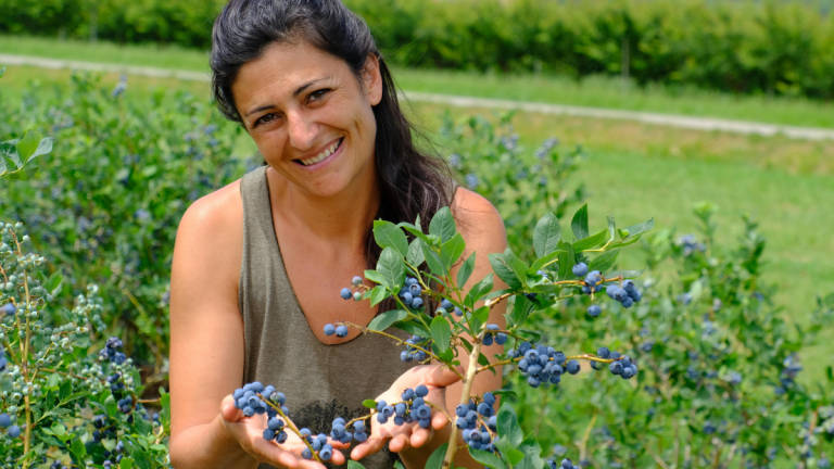 La signora dei mirtilli, Rio del Sol a Petrignone La signora dei mirtilli, Rio del Sol a Petrignone