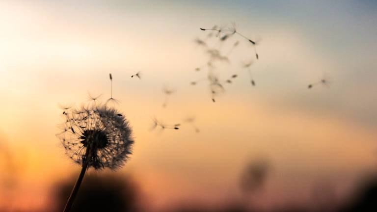 Fino a mezzanotte allerta meteo gialla in tutto il Ravennate Fino a mezzanotte allerta meteo gialla in tutto il Ravennate
