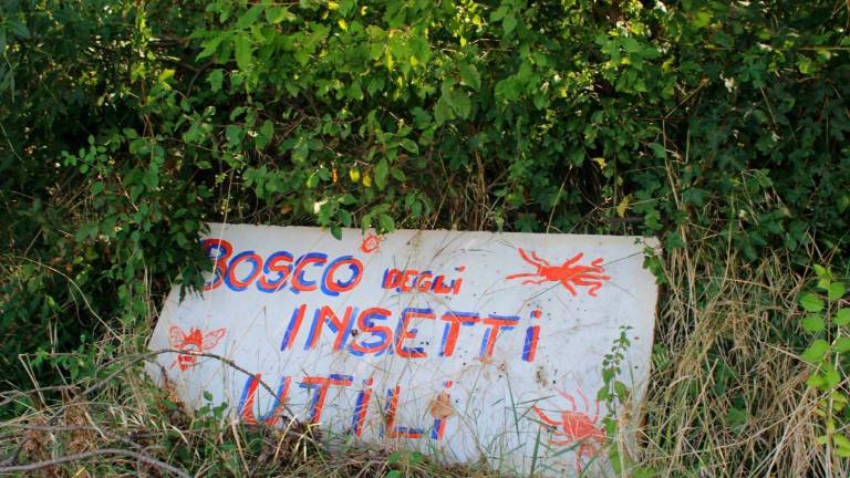 Savignano, la famiglia Gobbi: “L’agricoltura biodinamica è il frutto dell’amore per il lavoro” Savignano, la famiglia Gobbi: “L’agricoltura biodinamica è il frutto dell’amore per il lavoro”
