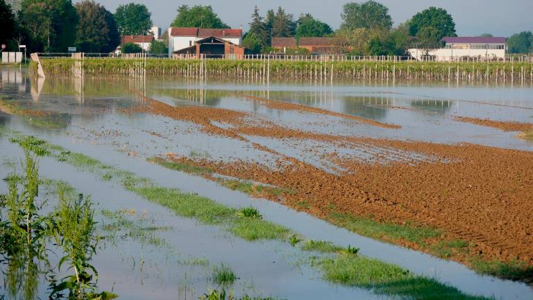 I campi allagati durante l’alluvione e secchi, dopo che l’acqua si è ritirata I campi allagati durante l’alluvione e secchi, dopo che l’acqua si è ritirata