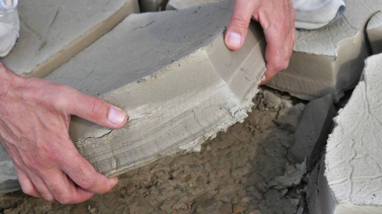 Coldiretti, 100mila ettari nel fango a un mese dall'alluvione Coldiretti, 100mila ettari nel fango a un mese dall'alluvione