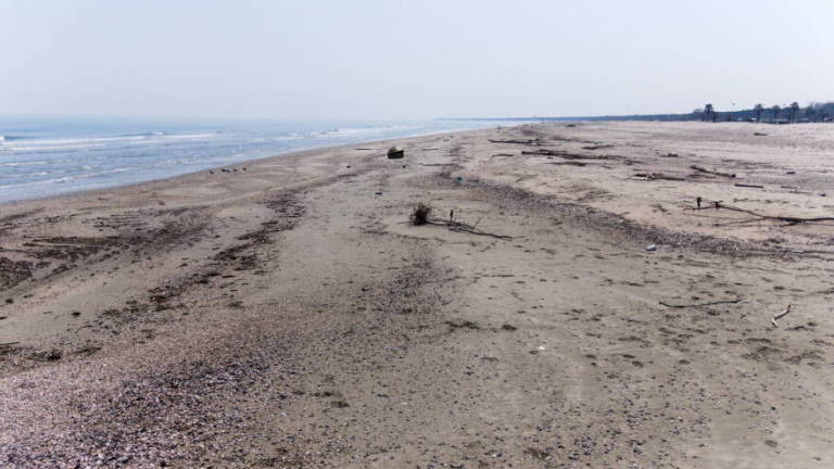Sorpreso a fare il bagno a Marina di Ravenna, multato Sorpreso a fare il bagno a Marina di Ravenna, multato