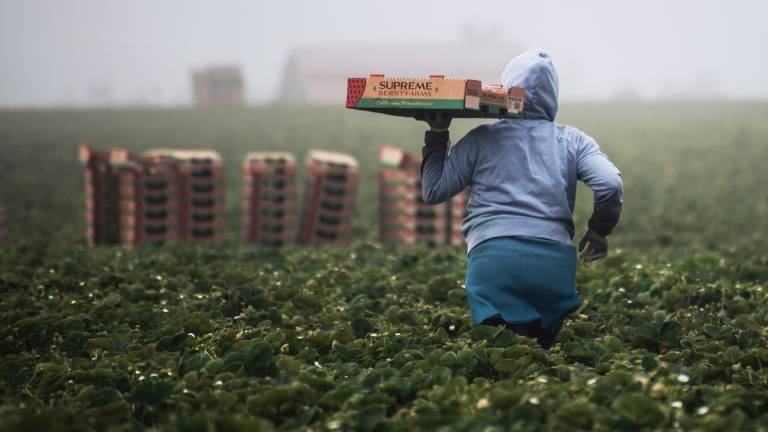 Lavoro e giovani, in nero il 34% degli emiliano-romagnoli Lavoro e giovani, in nero il 34% degli emiliano-romagnoli