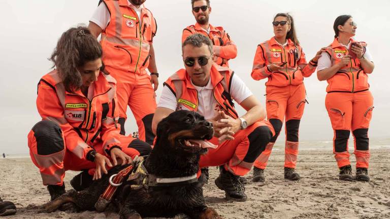 Cesenatico, addestramento congiunto per tre squadre salva-vita con cani e moto d'acqua Cesenatico, addestramento congiunto per tre squadre salva-vita con cani e moto d'acqua