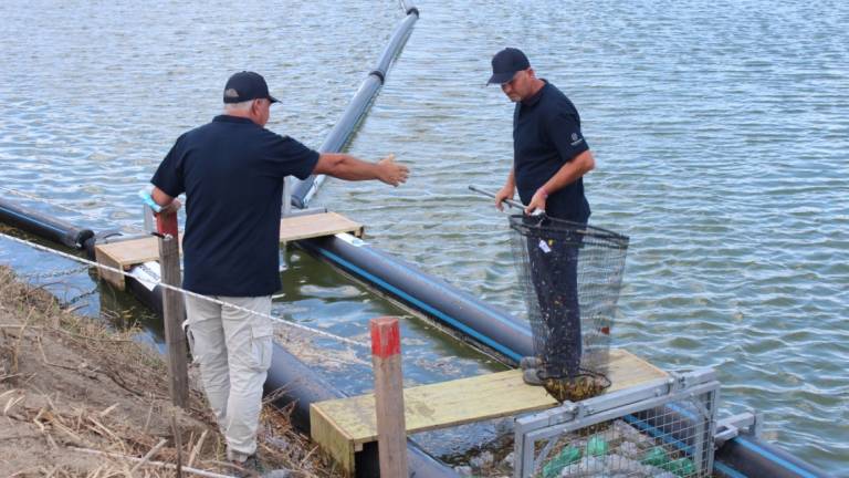 Rimini, visite guidate alle barriere acchiappa-plastiche Rimini, visite guidate alle barriere acchiappa-plastiche