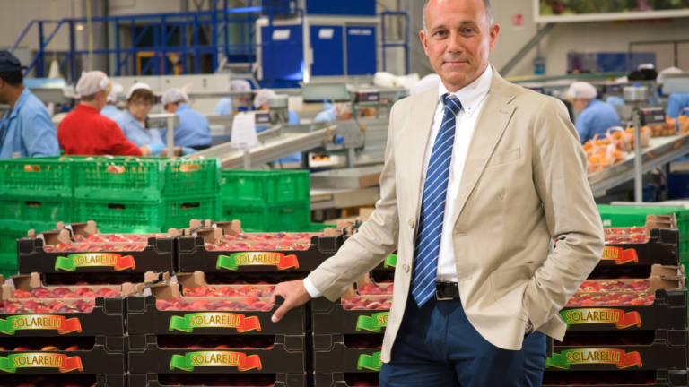 Cesena. Apofruit: fragole, asparagi, patate e piccoli frutti fanno crescere le liquidazioni primaverili Cesena. Apofruit: fragole, asparagi, patate e piccoli frutti fanno crescere le liquidazioni primaverili