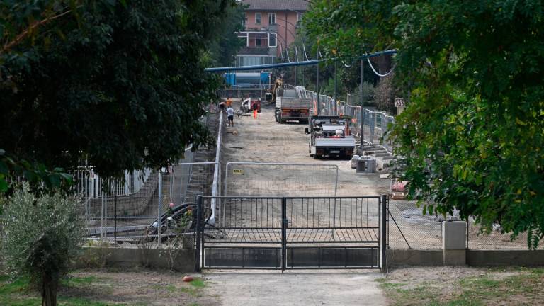Forlì, il comitato dei Romiti: “Vogliamo rassicurazioni sulla sicurezza” Forlì, il comitato dei Romiti: “Vogliamo rassicurazioni sulla sicurezza”