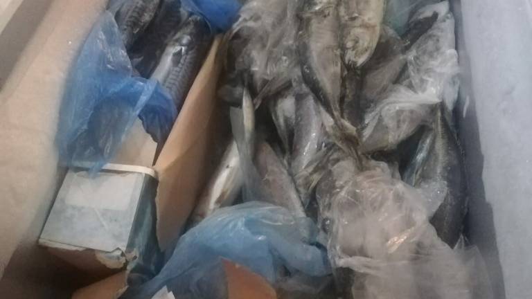 Faenza, vendevano carne e pesce al bar: scatta una maxi-multa Faenza, vendevano carne e pesce al bar: scatta una maxi-multa