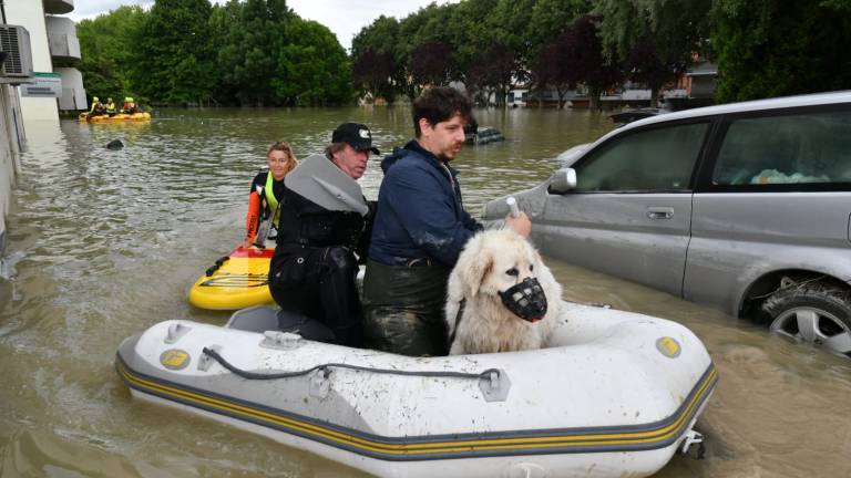 Forlì, tracima il Ronco: famiglie evacuate a Villanova, Villafranca, Branzolino e Bagnolo - Video Gallery Forlì, tracima il Ronco: famiglie evacuate a Villanova, Villafranca, Branzolino e Bagnolo - Video Gallery