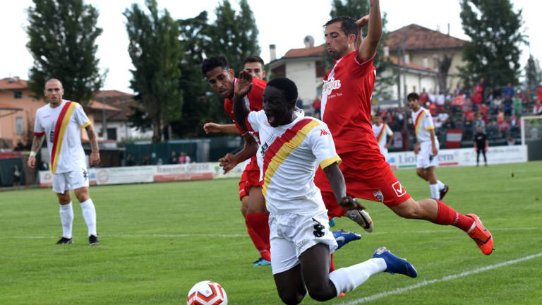 Calcio D, giovedì si decide il destino della Sammaurese Calcio D, giovedì si decide il destino della Sammaurese