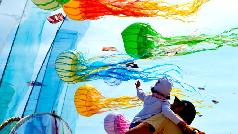 Cervia, un festival degli aquiloni col botto: “Oltre 600mila visitatori” - Gallery Cervia, un festival degli aquiloni col botto: “Oltre 600mila visitatori” - Gallery