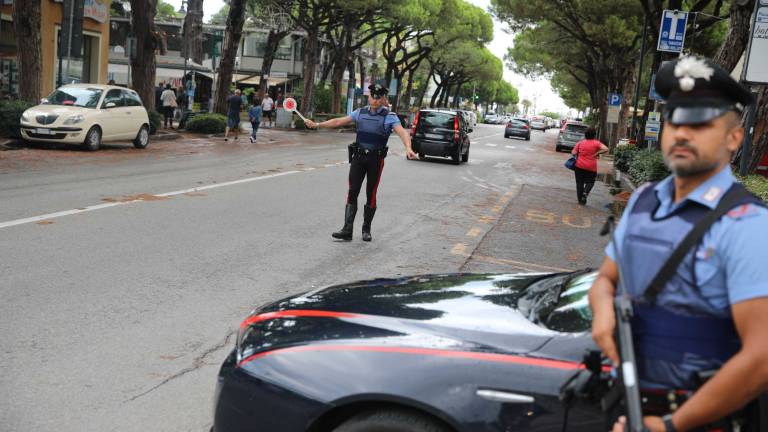 Gatteo, arrestato 33enne per piante di marijuana e fucile Gatteo, arrestato 33enne per piante di marijuana e fucile