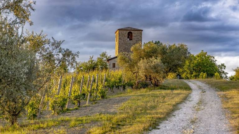 Cantieri da 90 mila euro al via a Formignano e Roversano di Cesena Cantieri da 90 mila euro al via a Formignano e Roversano di Cesena