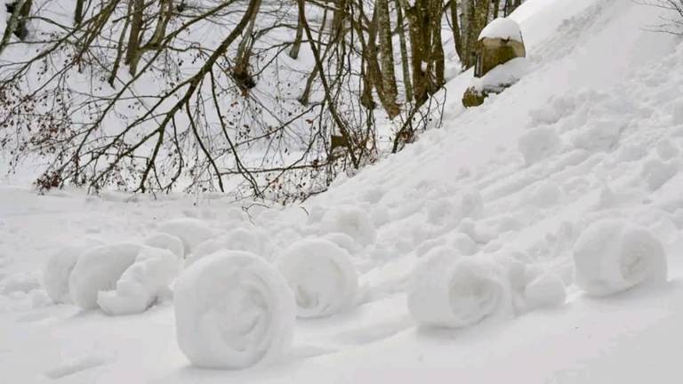 Ruote di neve naturali: gli snow roller creati dal vento sul Fumaiolo Ruote di neve naturali: gli snow roller creati dal vento sul Fumaiolo