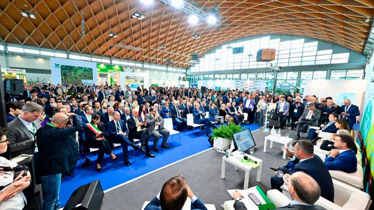 Rimini, il ministro Lollobrigida inaugura Macfrut 2025: “Una fiera che guarda al futuro” Rimini, il ministro Lollobrigida inaugura Macfrut 2025: “Una fiera che guarda al futuro”