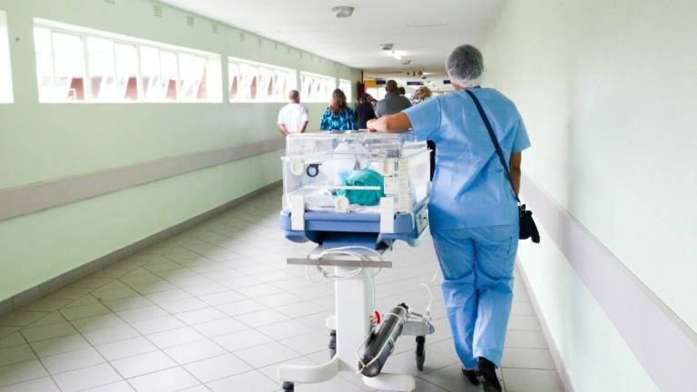 Natalini: il Mes per potenziare la sanità pubblica Natalini: il Mes per potenziare la sanità pubblica