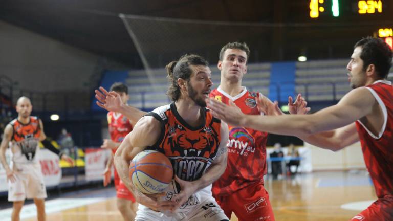 Basket B, Tigers senza Chiappelli per due turni Basket B, Tigers senza Chiappelli per due turni