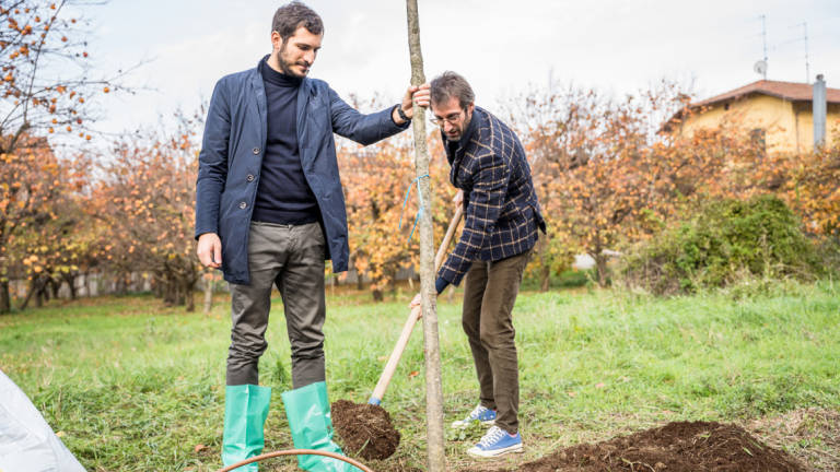 Ecco SharedWood, il bosco condiviso di Cesena Ecco SharedWood, il bosco condiviso di Cesena