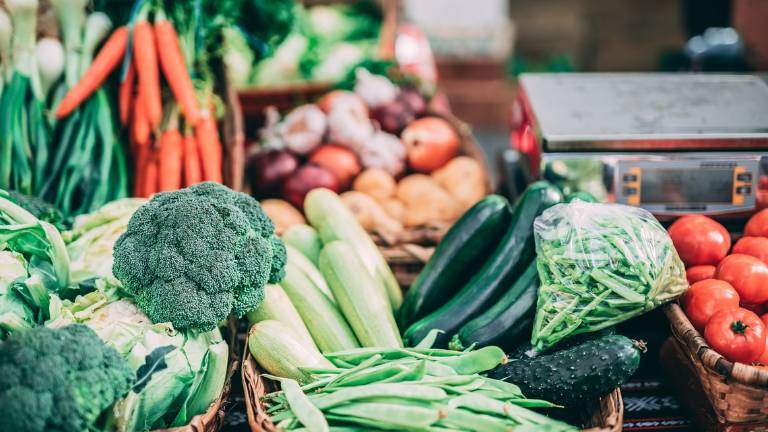 Mercato agroalimentare: l'importanza del trasporto di prodotti a temperatura controllata Mercato agroalimentare: l'importanza del trasporto di prodotti a temperatura controllata