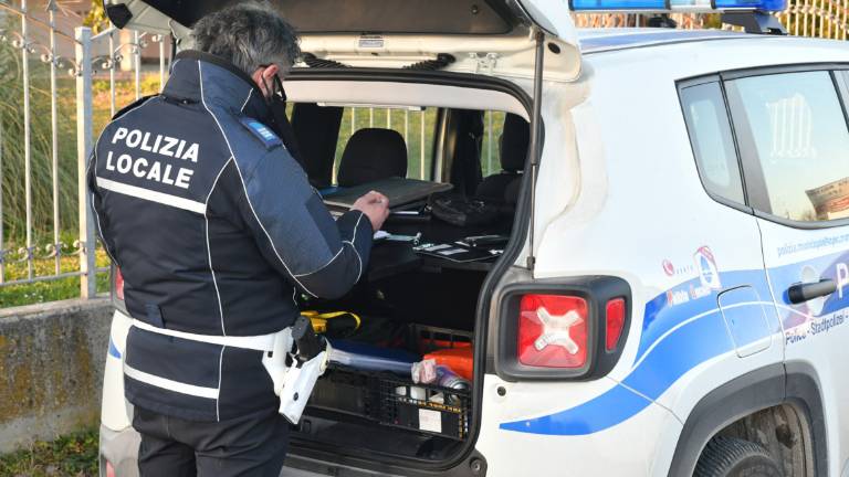 Forlì. Investe 26enne sulle strisce e non si ferma, 85enne arrestato per fuga e omissione di soccorso Forlì. Investe 26enne sulle strisce e non si ferma, 85enne arrestato per fuga e omissione di soccorso