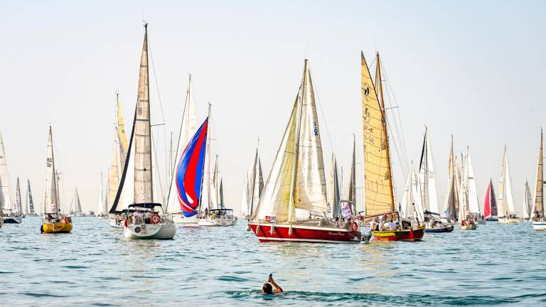 Barcolana, vento assente e qualcuno fa un tuffo in mare Foto Martina Orsini Barcolana, vento assente e qualcuno fa un tuffo in mare Foto Martina Orsini