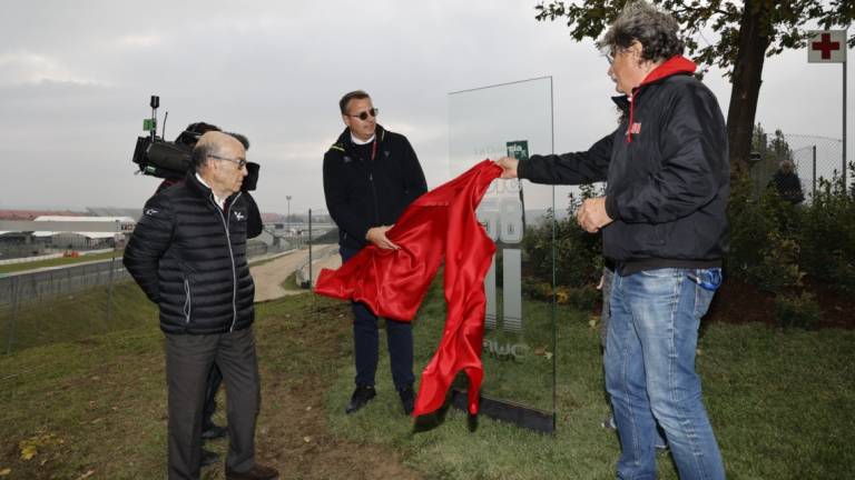 MotoGp, una quercia al circuito di Misano in ricordo di Marco Simoncelli MotoGp, una quercia al circuito di Misano in ricordo di Marco Simoncelli
