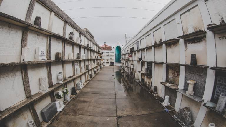 Cesena, derubate mentre sistemano i fiori al cimitero Cesena, derubate mentre sistemano i fiori al cimitero