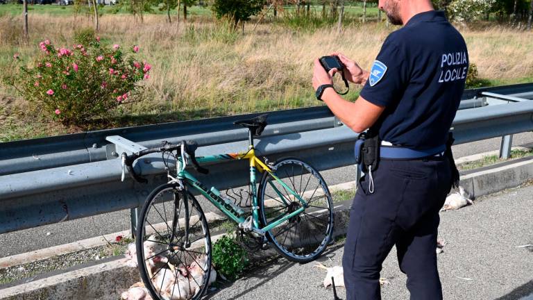 Forlì. Strage di polli sulla via Bidentina: almeno duemila animali morti in un incidente Forlì. Strage di polli sulla via Bidentina: almeno duemila animali morti in un incidente