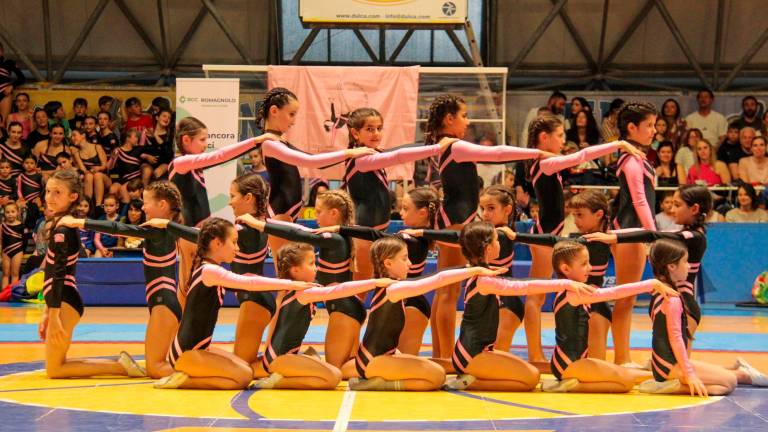 Ginnastica artistica, Centro Olimpia Cesena: 200 atleti al saggio finale - Gallery Ginnastica artistica, Centro Olimpia Cesena: 200 atleti al saggio finale - Gallery