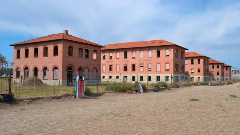 Rimini, Colonia Bolognese: tornano i concerti nel rispetto del “Fratino” Rimini, Colonia Bolognese: tornano i concerti nel rispetto del “Fratino”