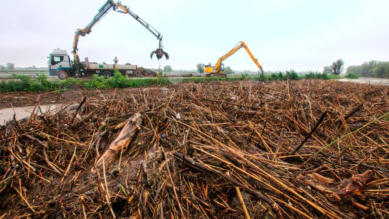 Alluvione in Romagna ottobre 2024: ecco gli interventi approvati dalla Regione Alluvione in Romagna ottobre 2024: ecco gli interventi approvati dalla Regione