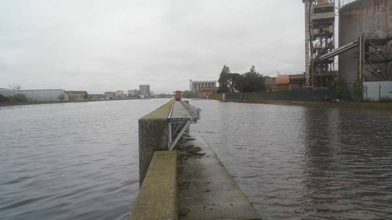Ravenna, maltempo: esonda il canale Darsena all'altezza dell'ex Bunge VIDEO Ravenna, maltempo: esonda il canale Darsena all'altezza dell'ex Bunge VIDEO