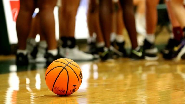 Cervia, la messa in sicurezza del palasport costerà 160mila euro Cervia, la messa in sicurezza del palasport costerà 160mila euro