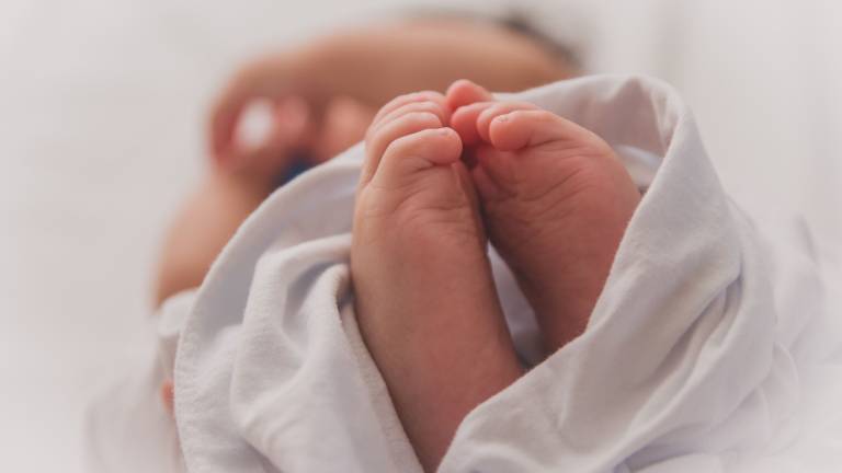 Neonato scosso perché piangeva troppo, genitori a processo a Rimini Neonato scosso perché piangeva troppo, genitori a processo a Rimini