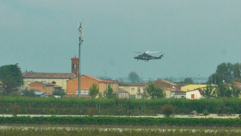 Foto Fiorentini Foto Fiorentini