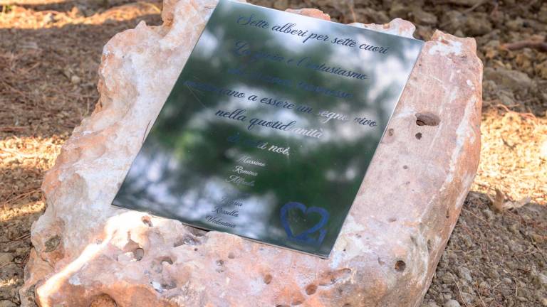 Tragedia del Centro 21 di Riccione. Massimo, Romina, Maria, Valentina, Francesca, Rossella e Alfredo per sempre: piantati gli alberi in loro ricordo Tragedia del Centro 21 di Riccione. Massimo, Romina, Maria, Valentina, Francesca, Rossella e Alfredo per sempre: piantati gli alberi in loro ricordo