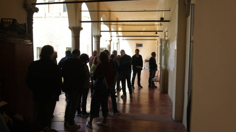 Elezioni Senato Forlì-Cesena, al voto il 71,46% degli aventi diritto Elezioni Senato Forlì-Cesena, al voto il 71,46% degli aventi diritto