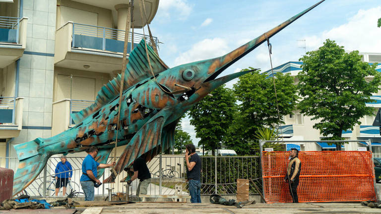 Rimini, un pesce spada a San Giuliano Rimini, un pesce spada a San Giuliano
