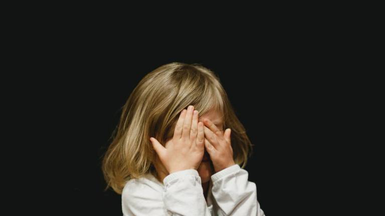Bimba di 5 anni abusata dal fratello maggiorenne, la mamma lo denuncia Bimba di 5 anni abusata dal fratello maggiorenne, la mamma lo denuncia