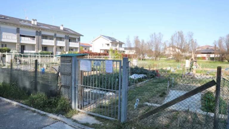 Riparte l'attività negli orti comunali di Cesena Riparte l'attività negli orti comunali di Cesena